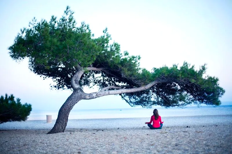 Quiet seaside meditation under a windswept pine on Brač Island, Croatia — Green Yogi Traveler
