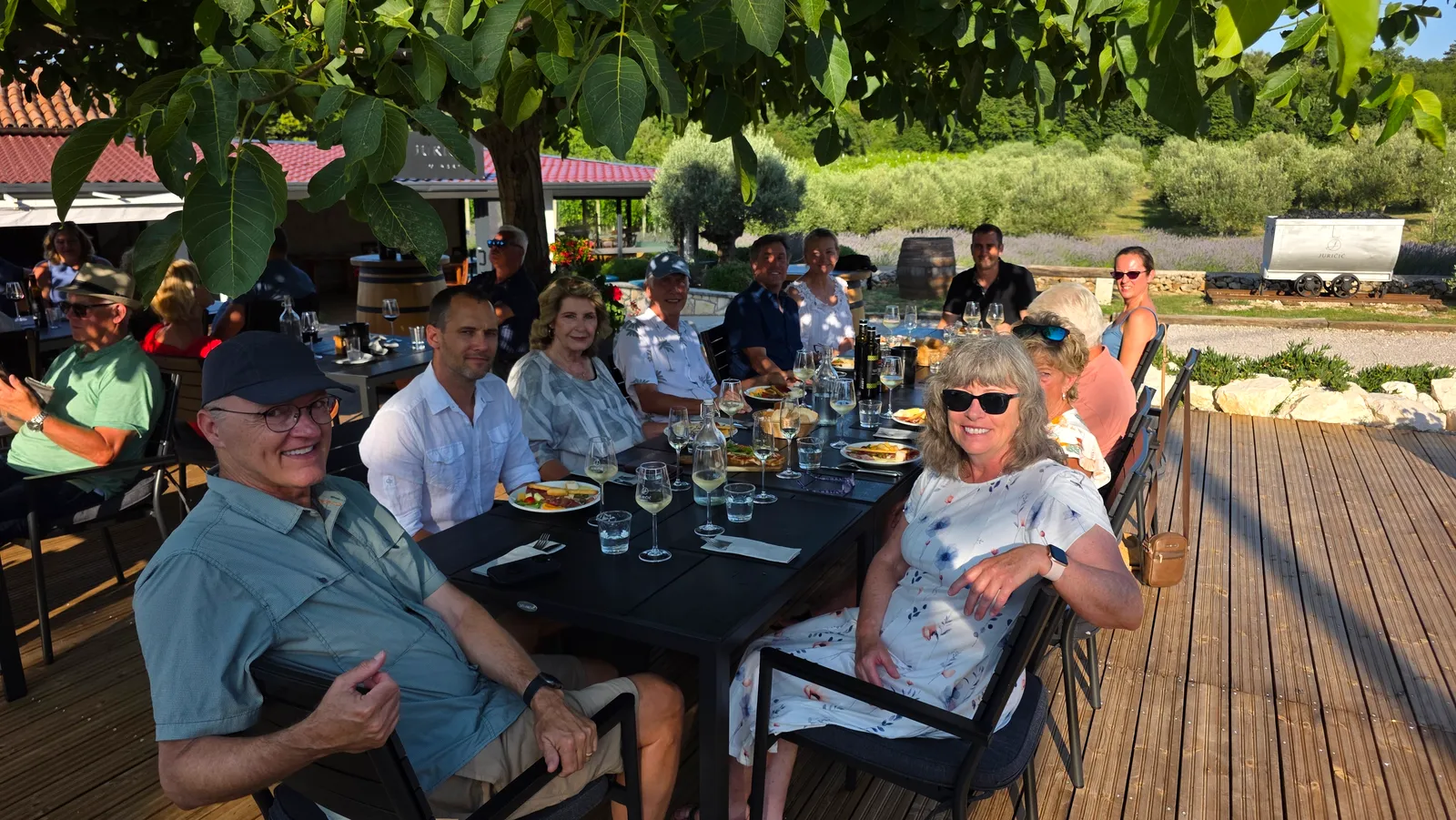 Group dinner on the villa terrace in Rabac