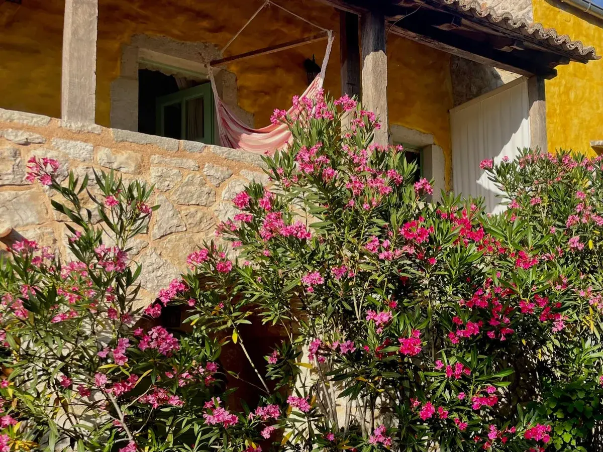 Hammock on a shaded terrace among oleander at Hotel Balatura, Vinodol Valley, Croatia