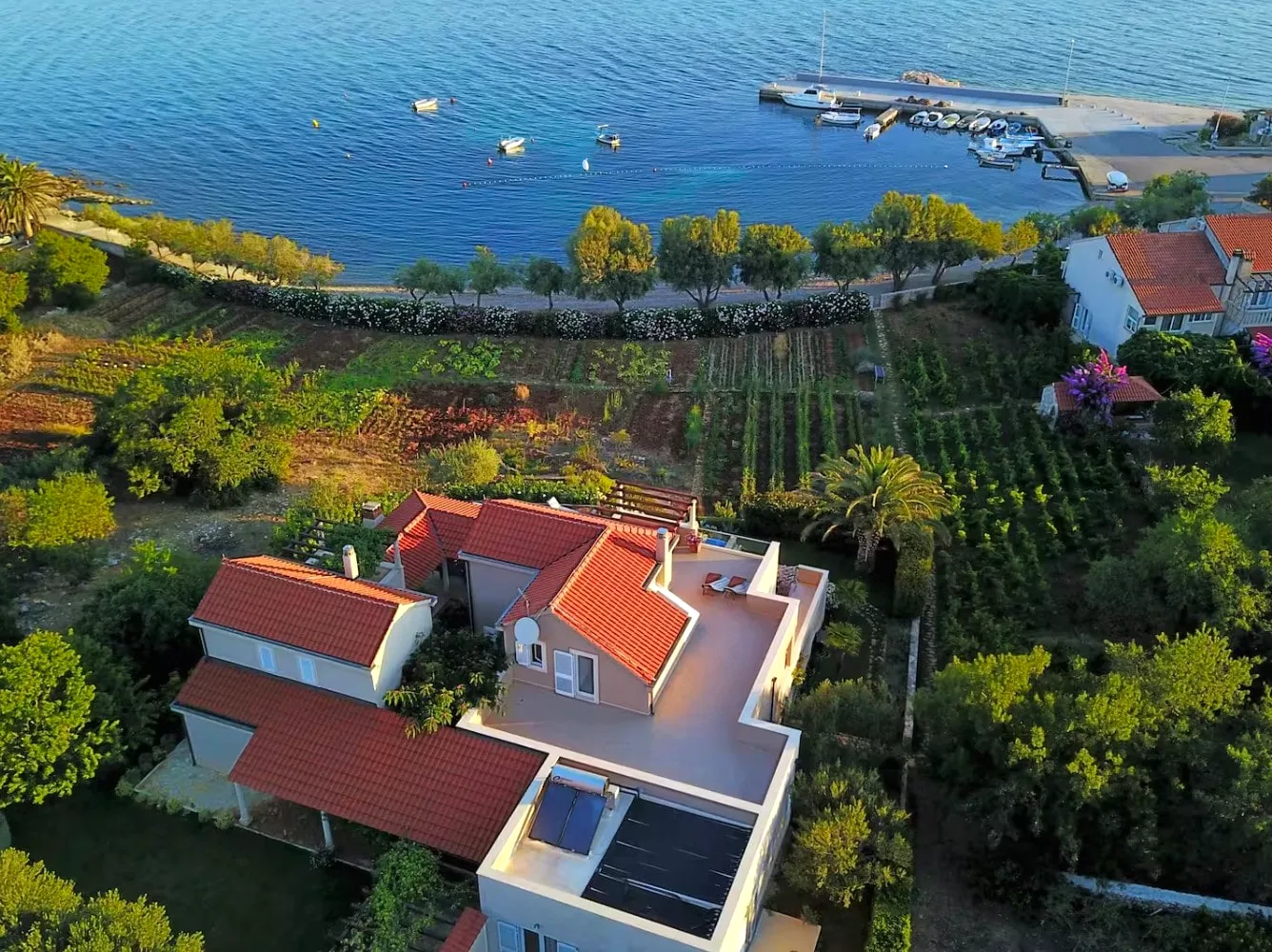 Aerial view of Villa Gumonca and the sea, Brač Island, Croatia