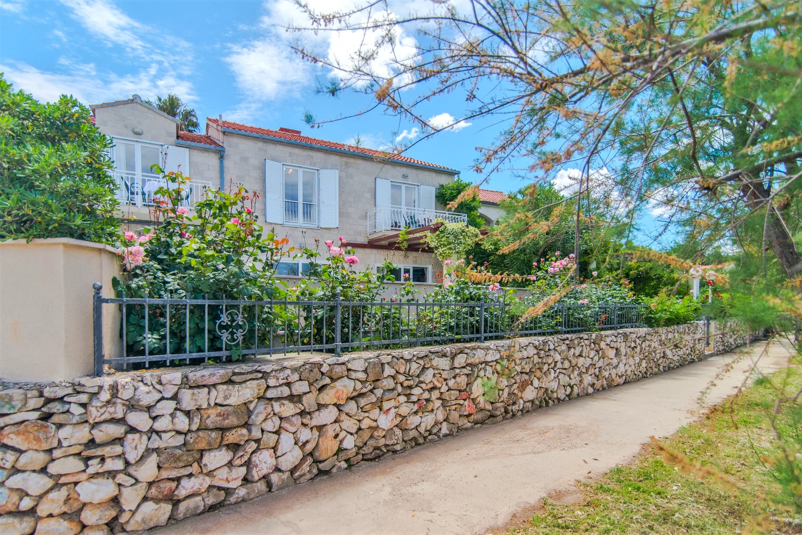 Rose garden and dry-stone wall along the lane at Villa Mirca, Brač Island, Croatia