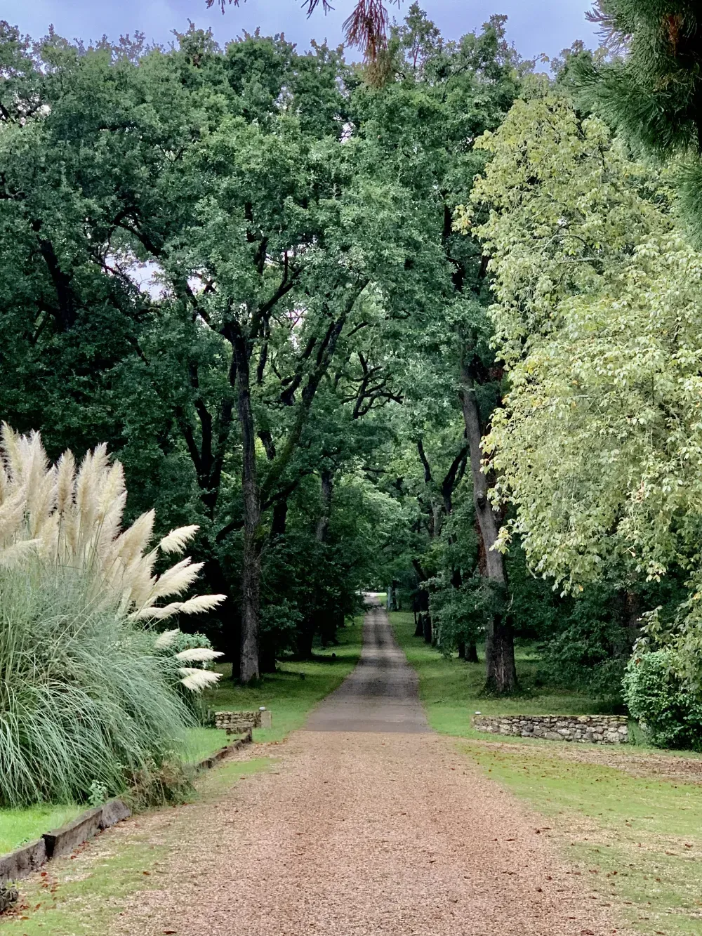 Tree-lined gravel drive through the wooded park at Château de Lassalle, France