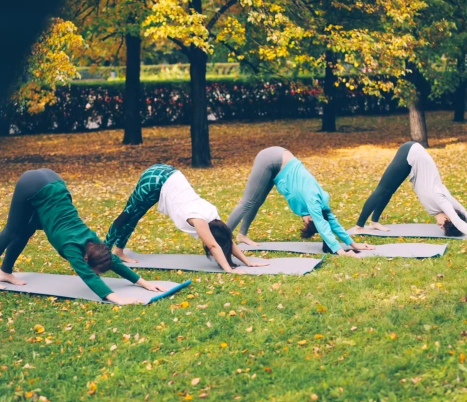 Group yoga practice in Margaret Island's autumn park, Budapest