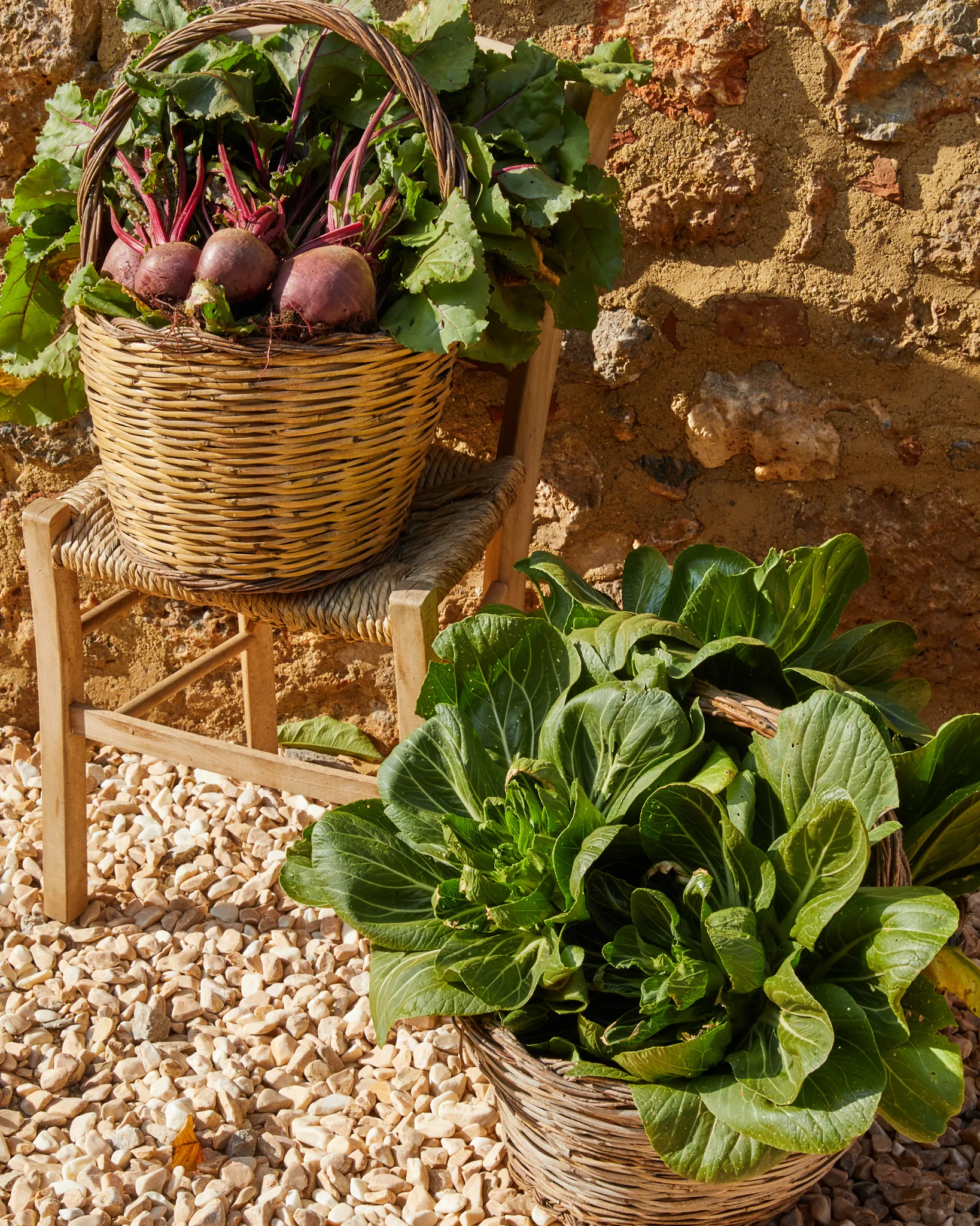 Baskets of fresh beetroot and leafy greens from the farm at Ebbio Tuscany, Italy