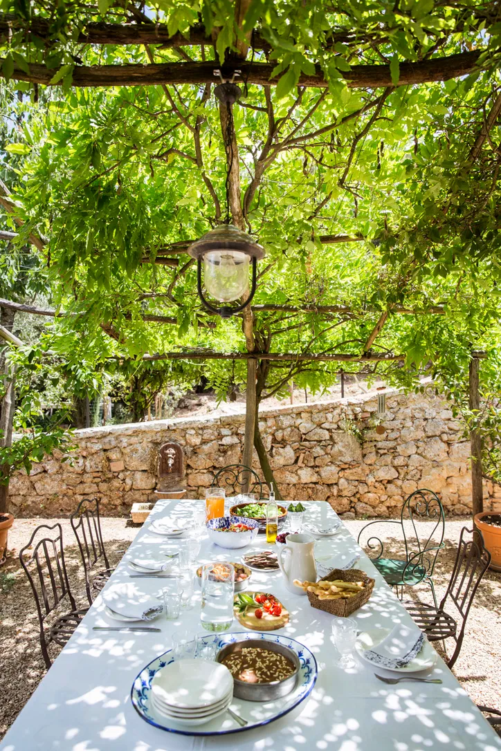 Dining table set under a wisteria-covered pergola at Ebbio Tuscany, Italy