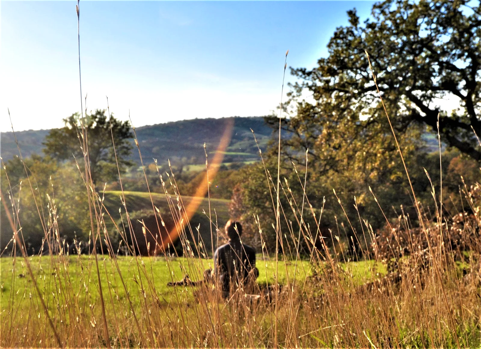 Il Risveglio farmhouse pool at sunset, retreat venue in the Maremma hills, Tuscany