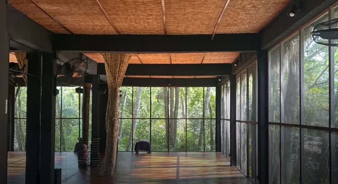 Open-air yoga studio built around a living tree at Shivari, Koh Phangan