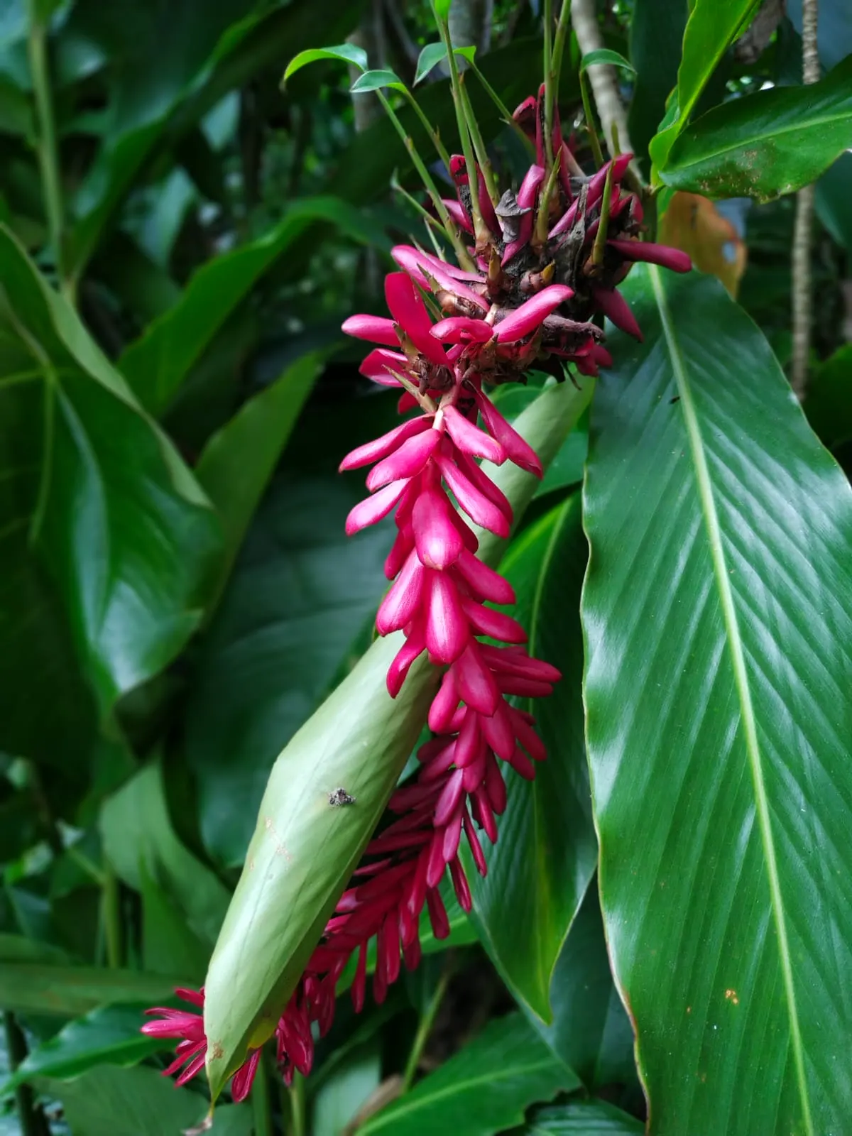 Yoga Retreat in Bali — Bali, Indonesia
