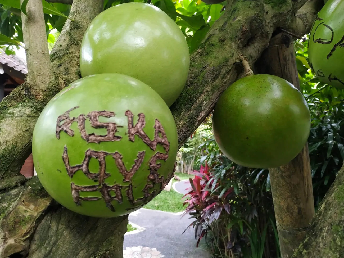 Yoga Retreat in Bali — Bali, Indonesia