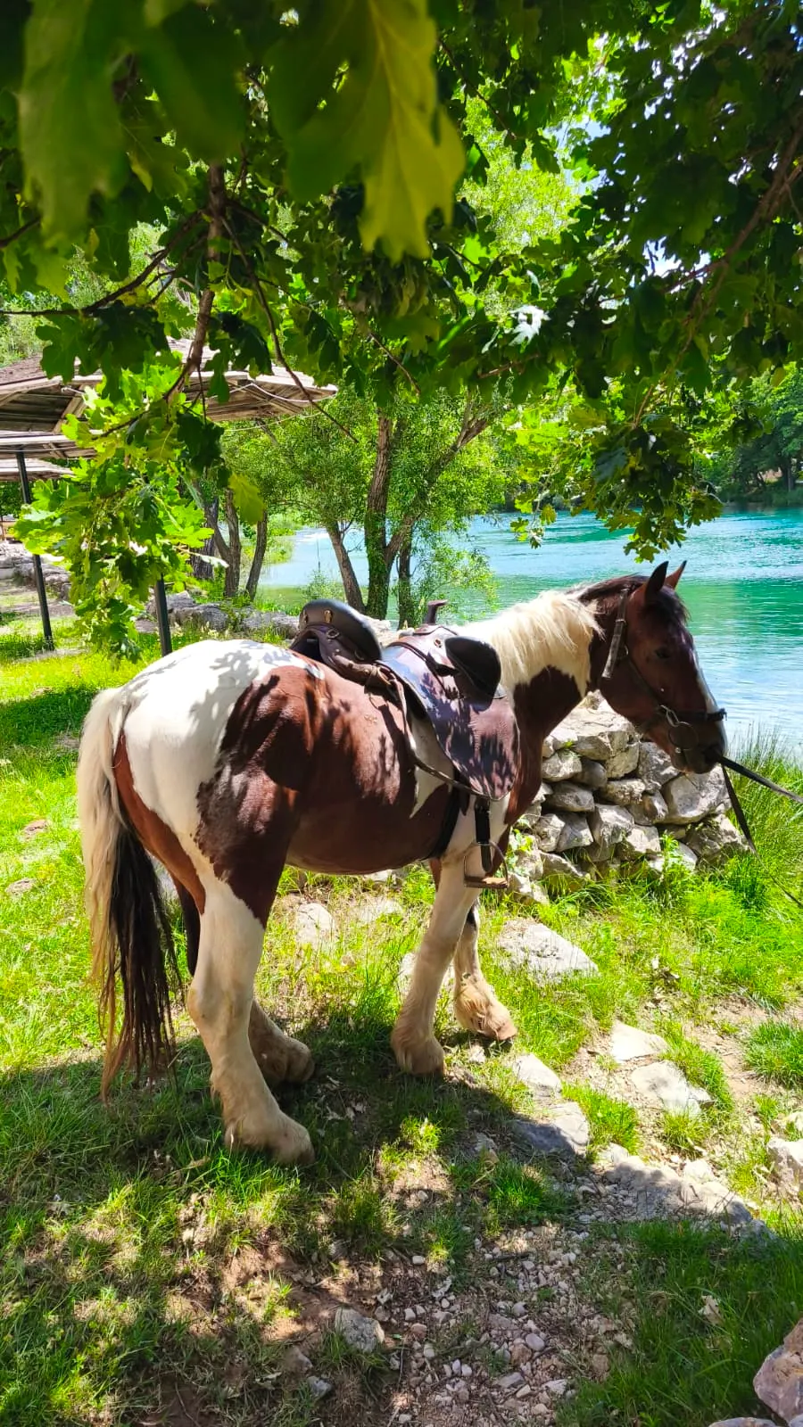 Best of Croatia Yoga Retreat — Croatia