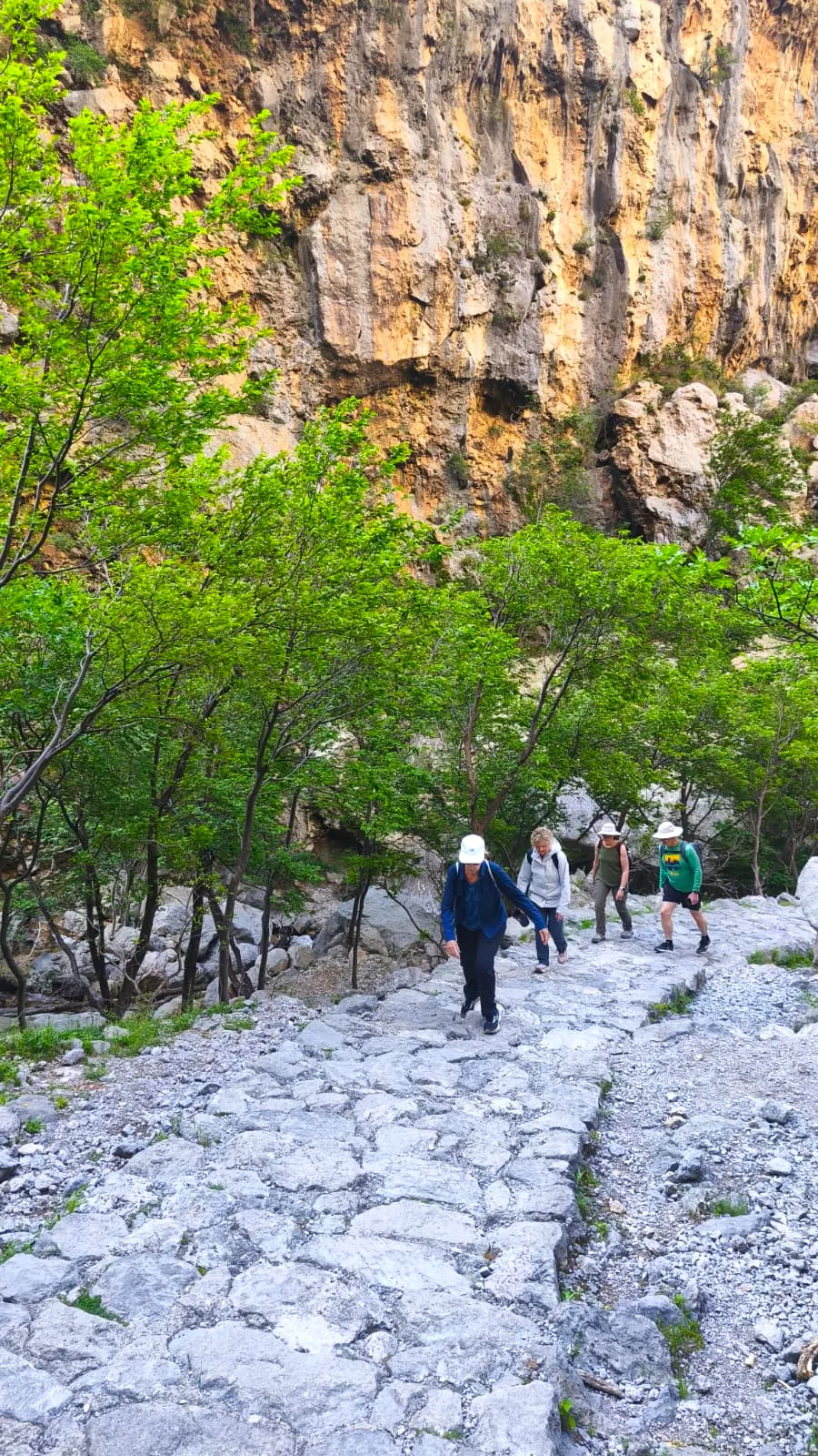 Best of Croatia Yoga Retreat — Croatia