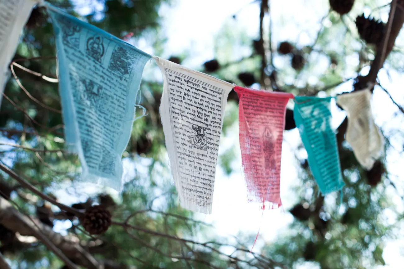 Brač Island yoga retreat with Jamie & Heather (Yoga for Bad People), 2016