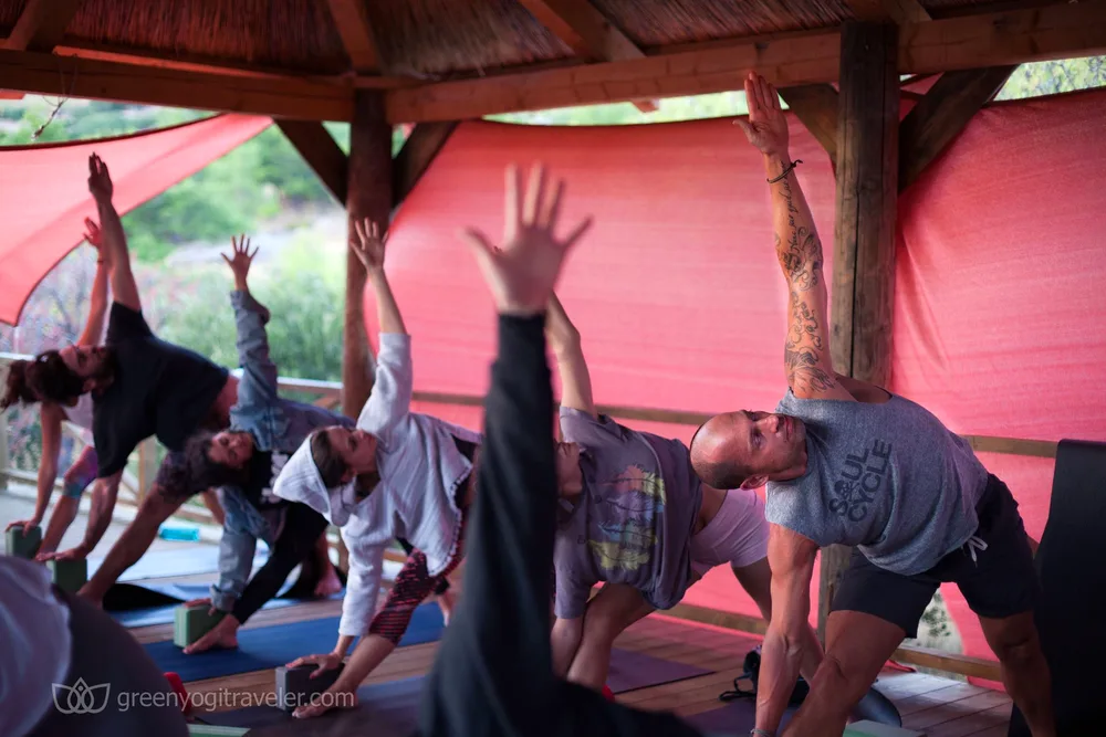 Group walking a palm-lined path on the Pakleni islands, Brač retreat with Yoga for Bad People, 2016