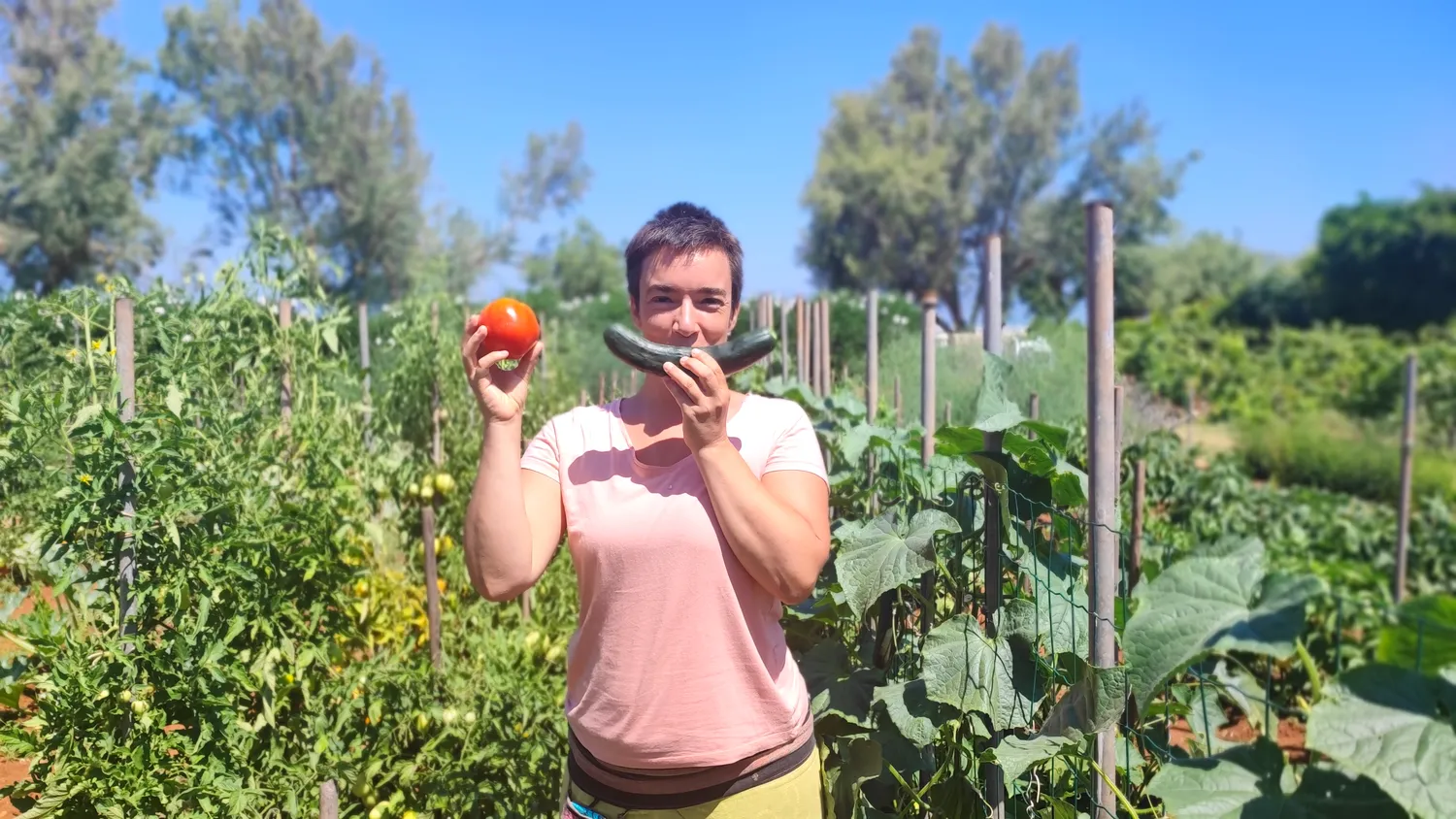Guest holding freshly picked tomato and cucumber in the organic garden, Brač Island