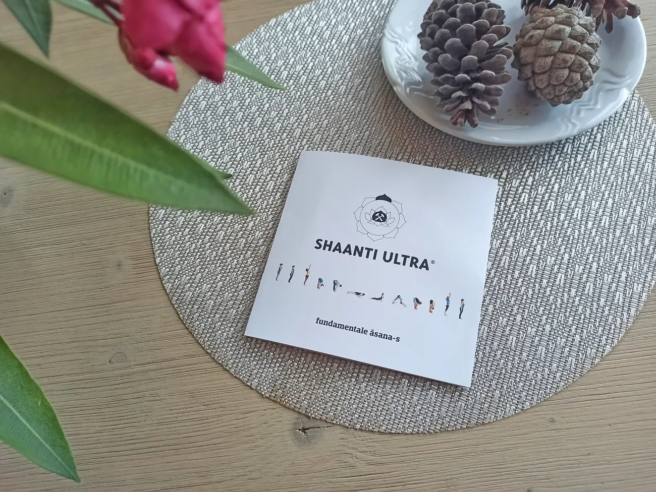 Yoga retreat on the Istrian Peninsula with Shaanti Ultra Yoga, 2022