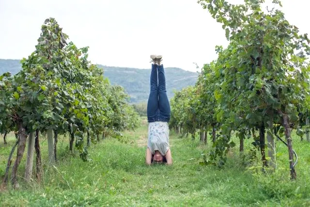 Yoga Retreat in the Dubrovnik Region — Dubrovnik Region, Croatia
