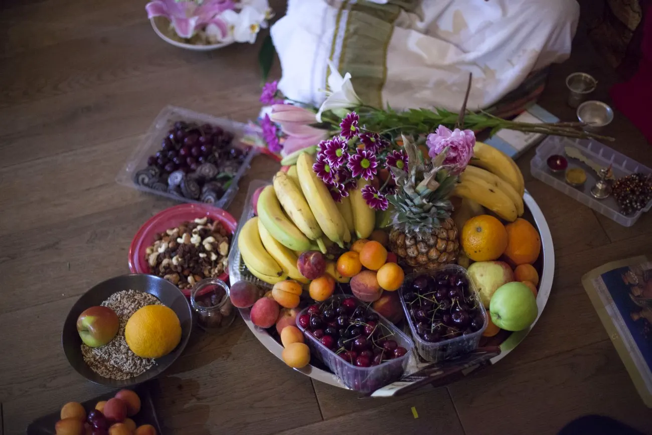 Ashtanga Yoga Workshop with Eddie Stern — Croatia