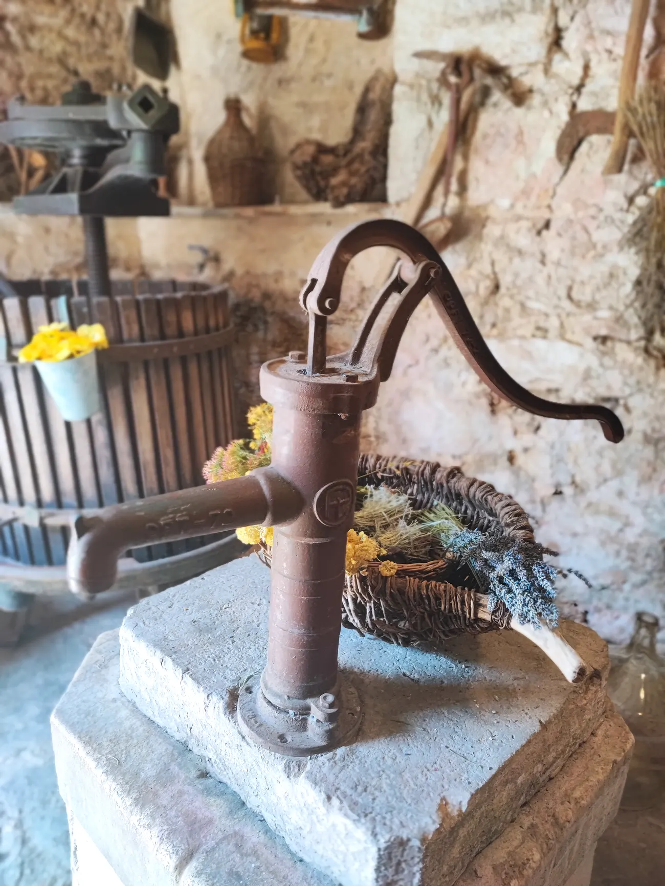 Yoga retreat on Hvar Island with Hanan & Heather, June 2024