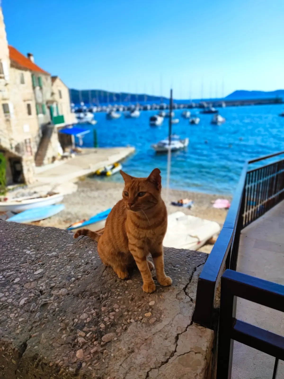 Yoga and pilates on Hvar Island with Sophia & AnneMarie, September 2024