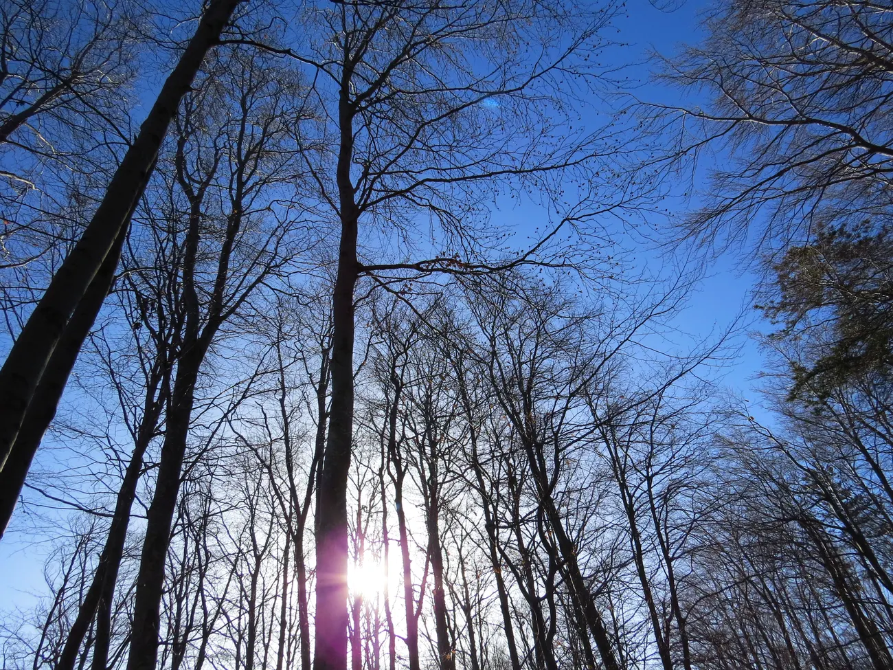 Kundalini Retreat on Zagreb Mountain — Sljeme, Zagreb · Croatia