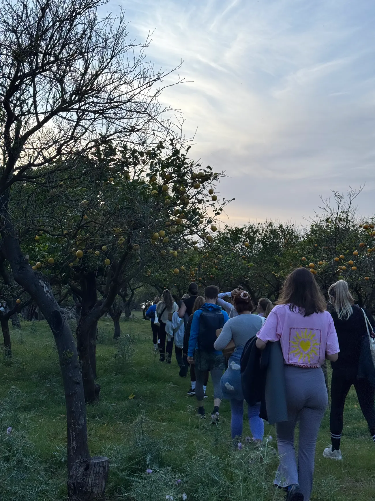Yoga Retreat in Mallorca — Mallorca, Spain
