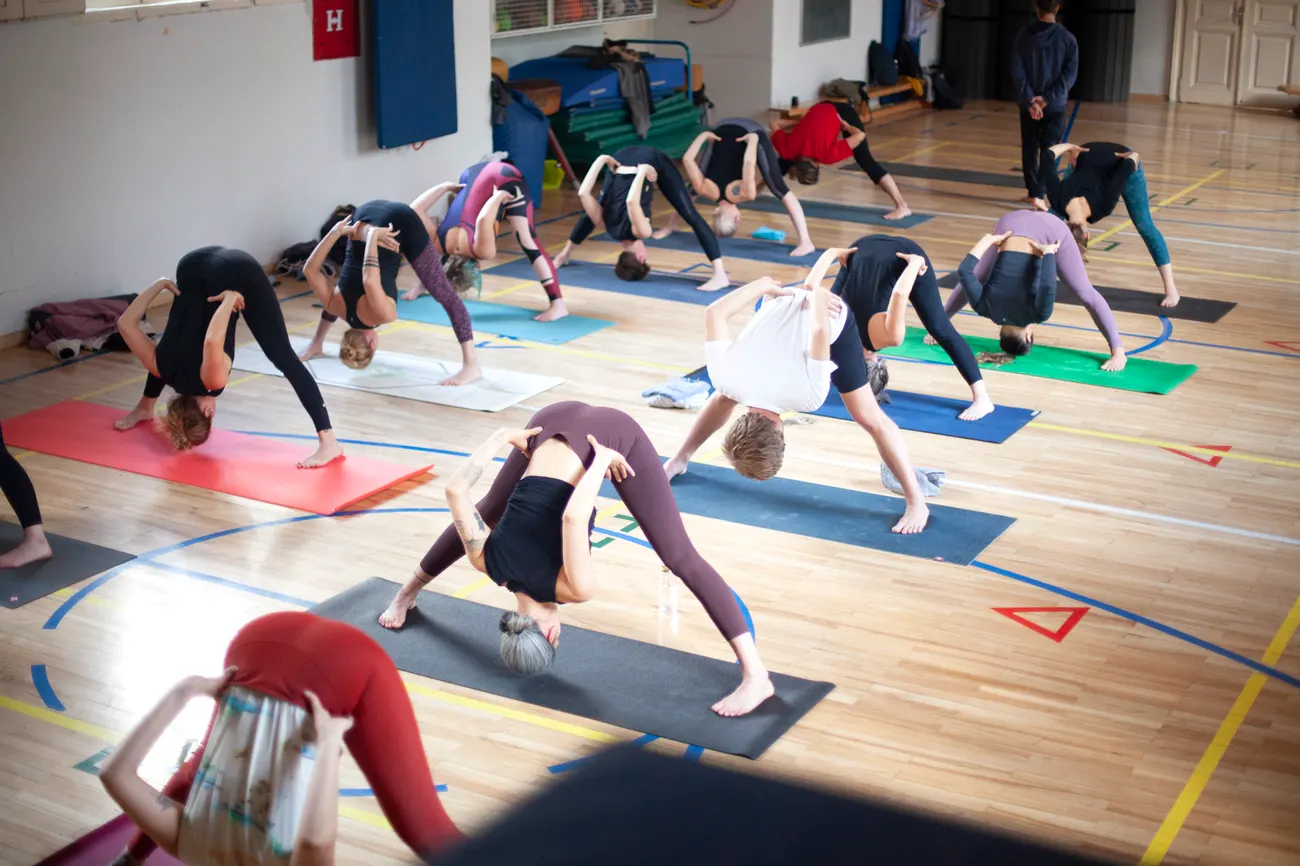 Ashtanga Yoga Workshop with Petri Räisänen — Croatia