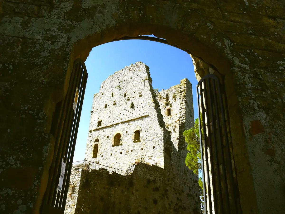 Yoga retreat in Tuscany with Heidi Hoelzer, August 2024