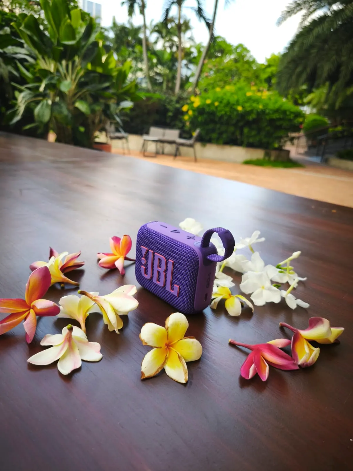 Yoga retreat in Southern Vietnam with Hanan & Heather, March 2026
